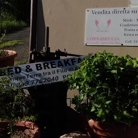 Cinque Terre Tra Il Filo Di Arianna 3* Рикко-дель-Гольфо-ди-Специя