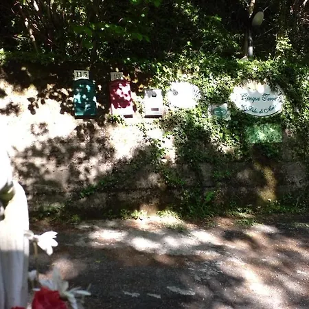 Cinque Terre Tra Il Filo Di Arianna