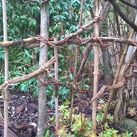 Cinque Terre Tra Il Filo Di Arianna Отель типа 