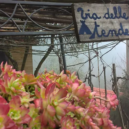 Cinque Terre Tra Il Filo Di Arianna לינה וארוחת בוקר ריקו דל גולפו די ספאציה