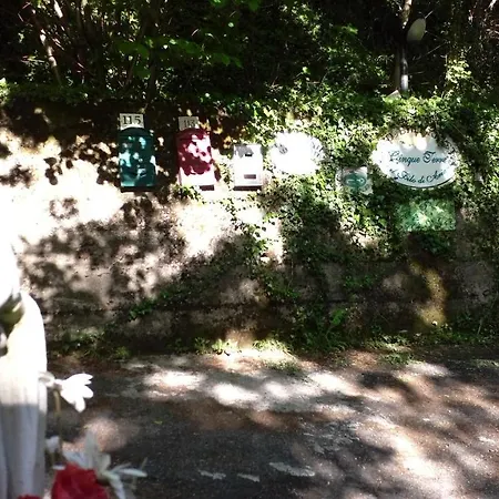 Cinque Terre Tra Il Filo Di Arianna