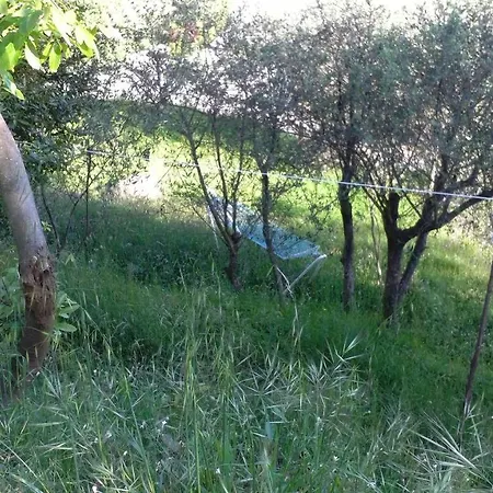 Cinque Terre Tra Il Filo Di Arianna 3*