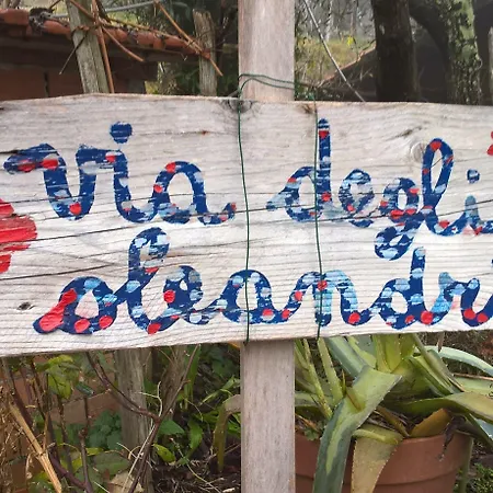 Cinque Terre Tra Il Filo Di Arianna