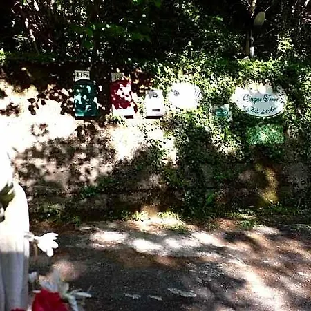 Cinque Terre Tra Il Filo Di Arianna 3* リッコ・デル・ゴルフォ・ディ・スペーツィア