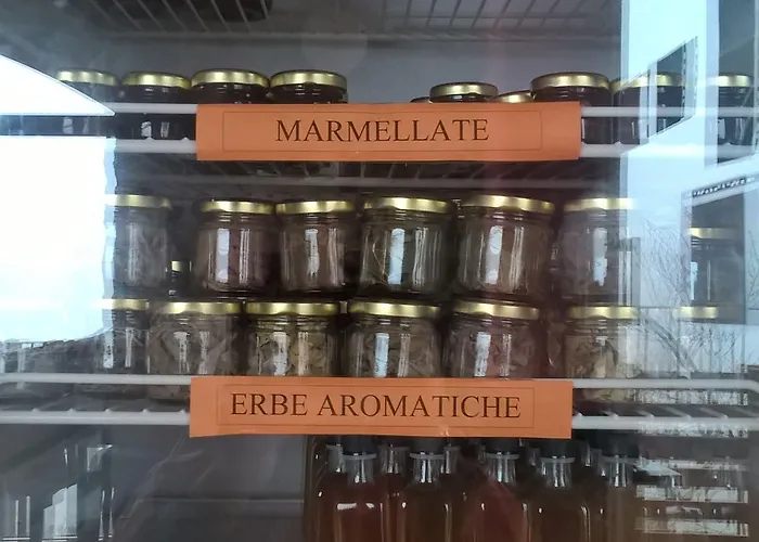 Cinque Terre Tra Il Filo Di Arianna